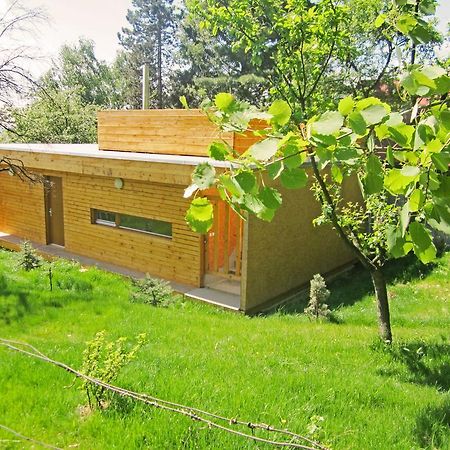 Vacation Home Pani Haje Moravany  外观 照片