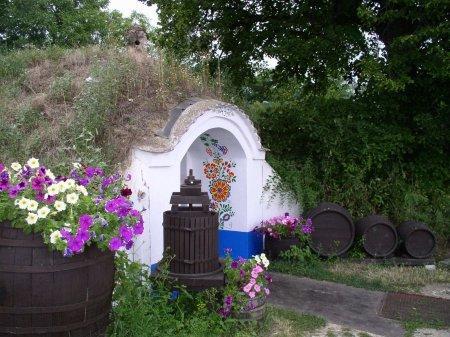 Vacation Home Pani Haje Moravany  外观 照片